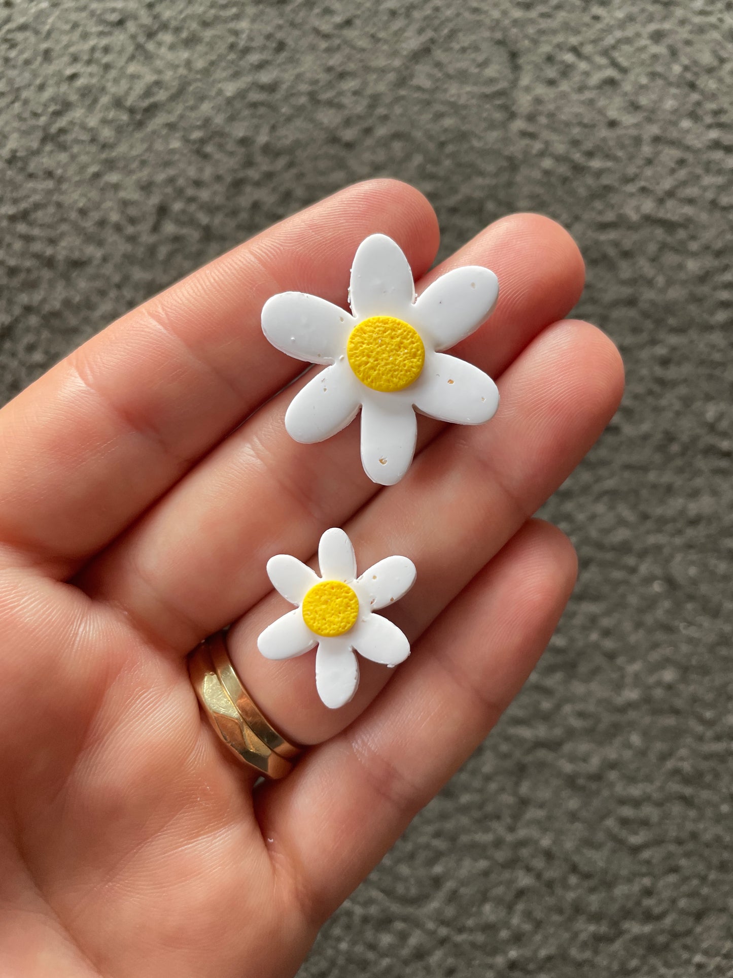 Classic Daisies