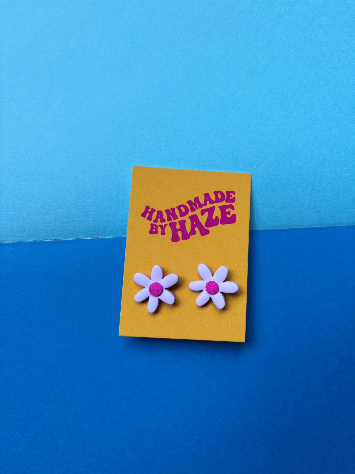 Colourful Classic Daisies